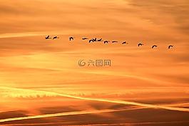 日出,天空,景觀
