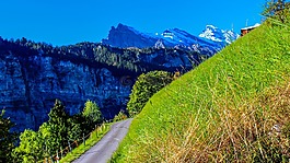 山,路,景觀