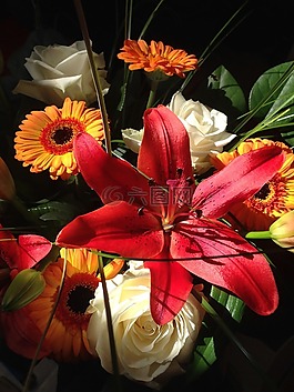 花,性質(zhì),廠