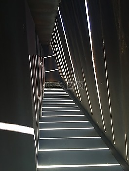 光,葡萄園,大廳
