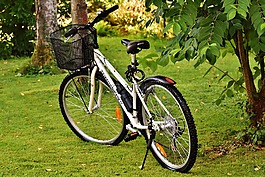 自行車,循環(huán),輪