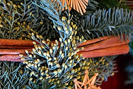 安排,來臨的花環(huán),肉桂棒