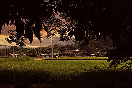 發(fā)光,國家,景觀