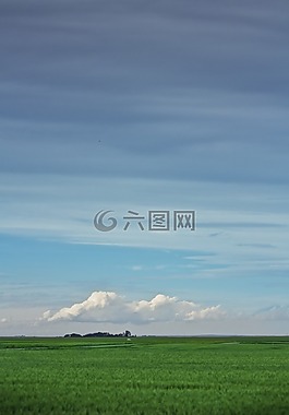原野,草原,農(nóng)場(chǎng)