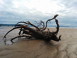 天空,海灘,砂