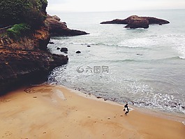 海灘,沙,沖浪