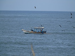 mar,捕魚,小船