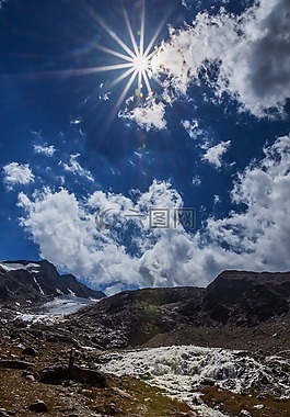 森林,山,全景