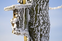 鳥舍,霜,住宅結(jié)構(gòu)