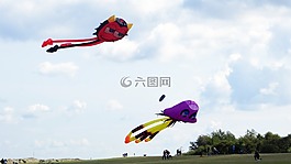 龍,播放,樂趣