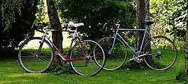 自行車,循環(huán),輪