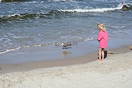 孩子,海鷗,海灘