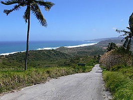 路,海灘,熱帶