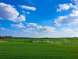 草甸,性質(zhì),景觀