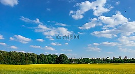 天空,景觀,春