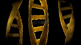 dna,dns,生物學(xué)