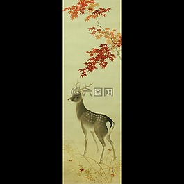 日本,滾動,鹿