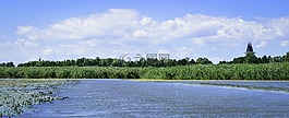 蒂萨湖,poroszló,绿色