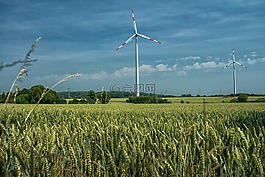 糧食,風車,谷物