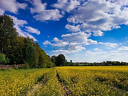 天空,云,藍(lán)色