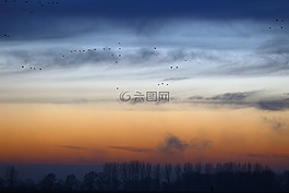 雁,傍晚的天空,性質(zhì)