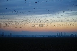 雁,傍晚的天空,性質(zhì)
