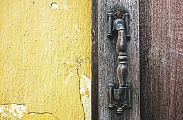 門(mén),處理,木材