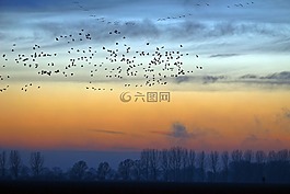 雁,傍晚的天空,性質(zhì)