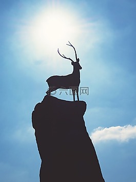鹿,雕像,側(cè)影