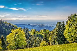 山,展望,黑色的森林