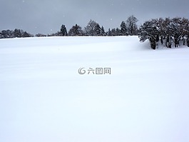 冬天,景觀,性質(zhì)