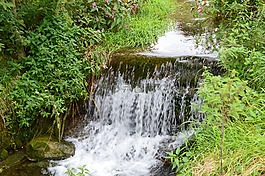 水,過(guò)獨(dú)身生活,水域