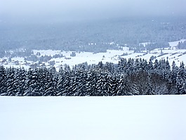 冬天,景觀(guān),性質(zhì)