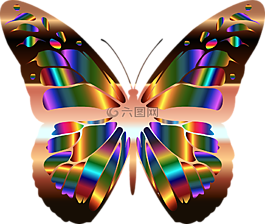 抽象,動物,藝術