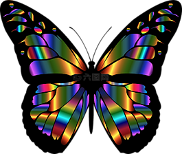 抽象,動物,藝術