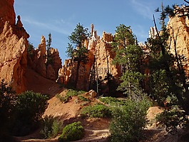 峽谷,西,景觀