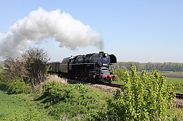 蒸汽機車,專用列車,鐵路