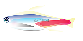 魚,熱帶魚,海