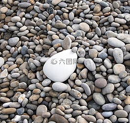 鵝卵石,海灘,海