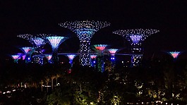 新加坡,夜,码头