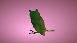 貓頭鷹,鳥,坐