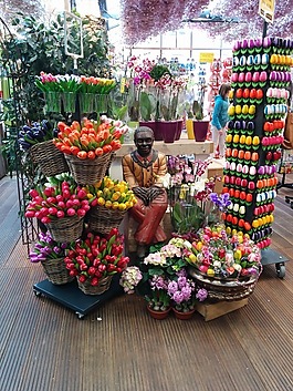 郁金香,店,男子
