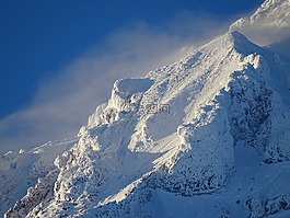 冬季,雪,冷