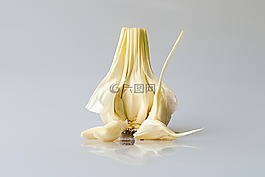 大蒜,頭大蒜,pod
