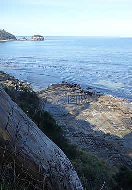 海岸,水,景区
