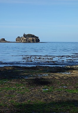海岸,水,景區(qū)