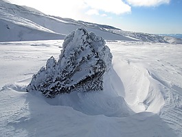 冬季,雪,冷
