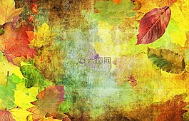 秋季,背景,出现