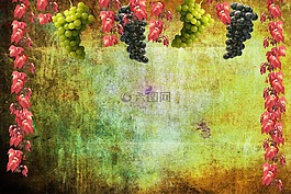 葡萄,酒,秋季