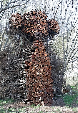 雕塑,藝術(shù),分支機(jī)構(gòu)